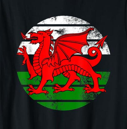 Scottish Tartan Thistle T-shirt Scottish Tartan Thistle T-shirt